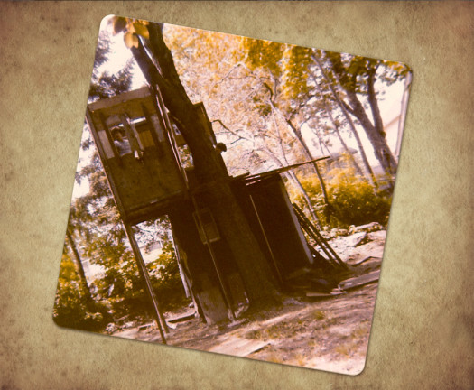 Rustic treehouse in a wooded area.